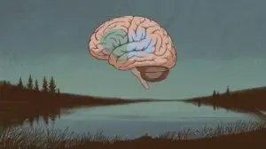 An illustration of a human brain floating above a calm lake with grass in the foreground and a tree-lined shore in the background under a cloudy sky. STG-Health
