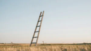A wooden ladder stands alone upright in the middle of a dry grassy field under a clear, pale blue sky. STG-Health